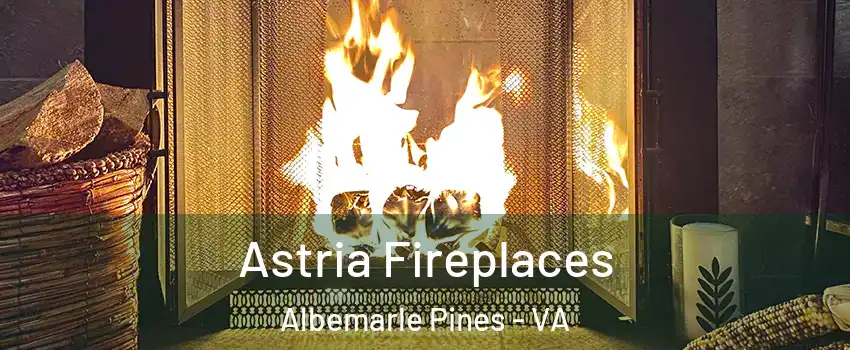 Astria Fireplaces Albemarle Pines - VA