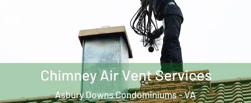 Chimney Air Vent Services Asbury Downs Condominiums - VA