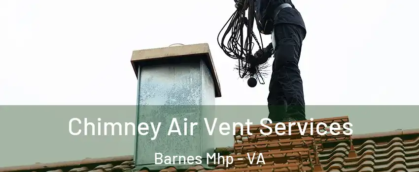 Chimney Air Vent Services Barnes Mhp - VA