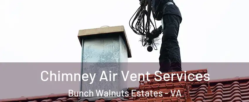 Chimney Air Vent Services Bunch Walnuts Estates - VA