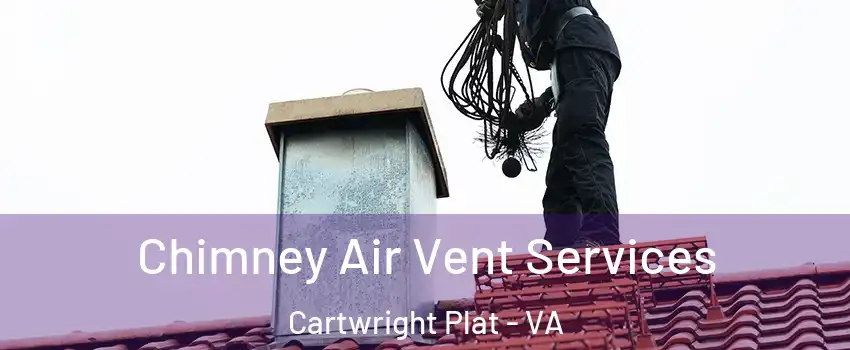 Chimney Air Vent Services Cartwright Plat - VA