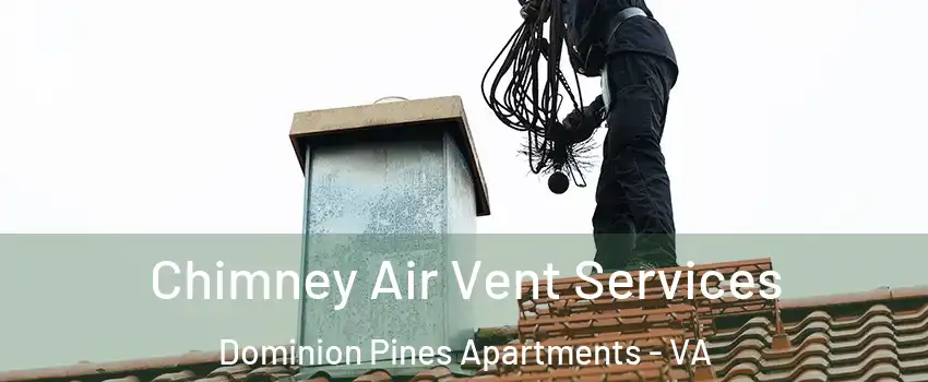 Chimney Air Vent Services Dominion Pines Apartments - VA