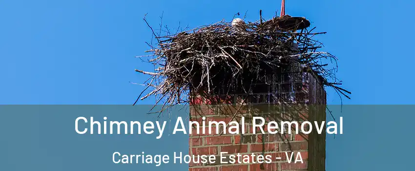 Chimney Animal Removal Carriage House Estates - VA