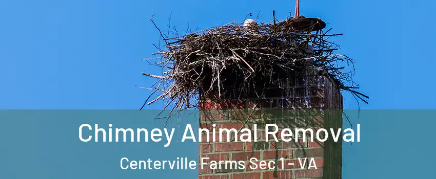 Chimney Animal Removal Centerville Farms Sec 1 - VA