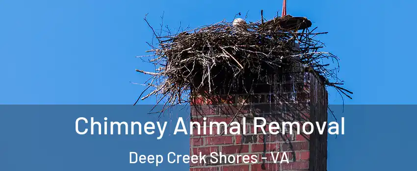 Chimney Animal Removal Deep Creek Shores - VA