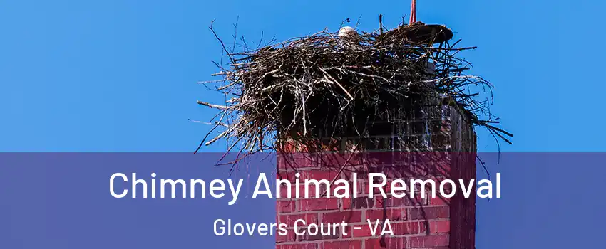 Chimney Animal Removal Glovers Court - VA