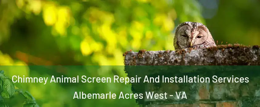 Chimney Animal Screen Repair And Installation Services Albemarle Acres West - VA