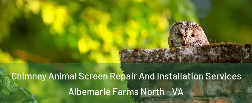 Chimney Animal Screen Repair And Installation Services Albemarle Farms North - VA