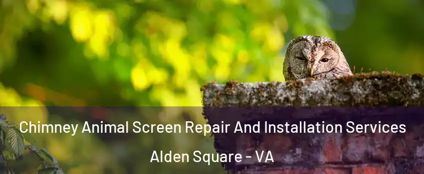 Chimney Animal Screen Repair And Installation Services Alden Square - VA