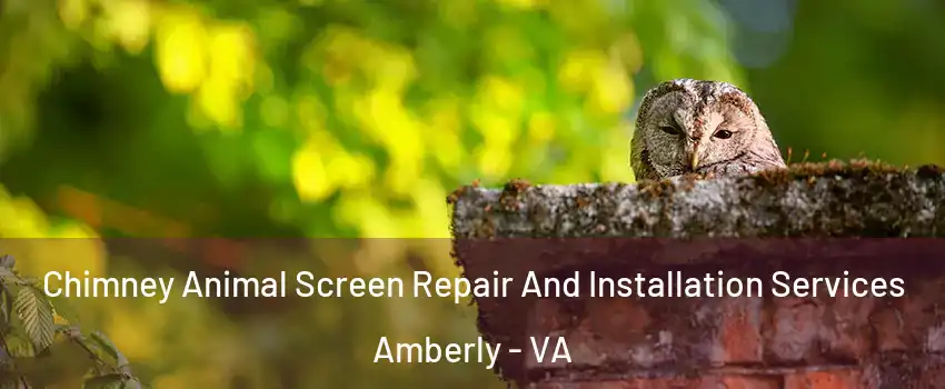 Chimney Animal Screen Repair And Installation Services Amberly - VA