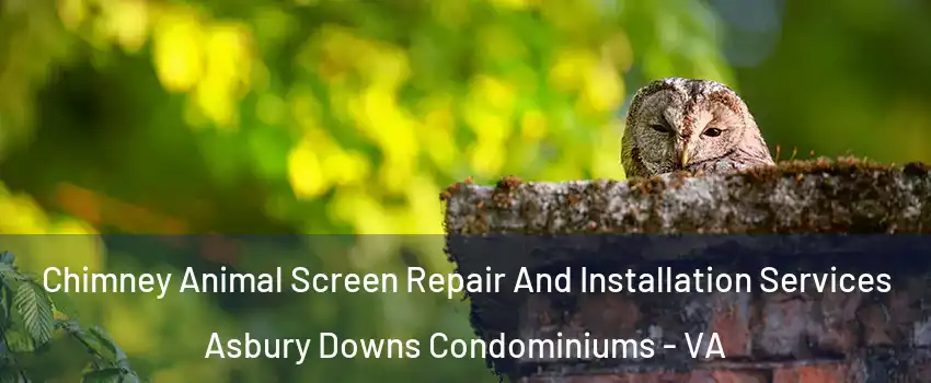 Chimney Animal Screen Repair And Installation Services Asbury Downs Condominiums - VA