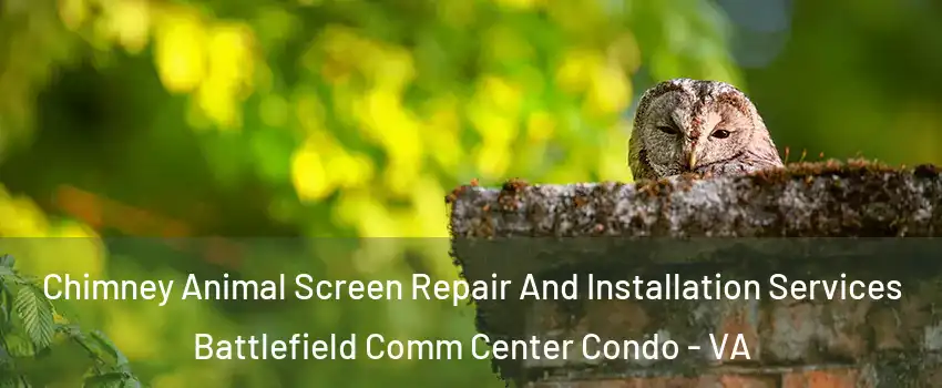 Chimney Animal Screen Repair And Installation Services Battlefield Comm Center Condo - VA