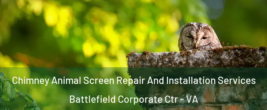 Chimney Animal Screen Repair And Installation Services Battlefield Corporate Ctr - VA