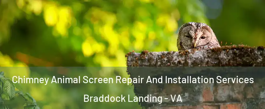 Chimney Animal Screen Repair And Installation Services Braddock Landing - VA