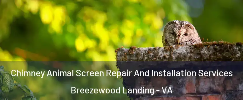 Chimney Animal Screen Repair And Installation Services Breezewood Landing - VA