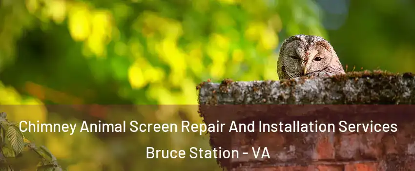 Chimney Animal Screen Repair And Installation Services Bruce Station - VA