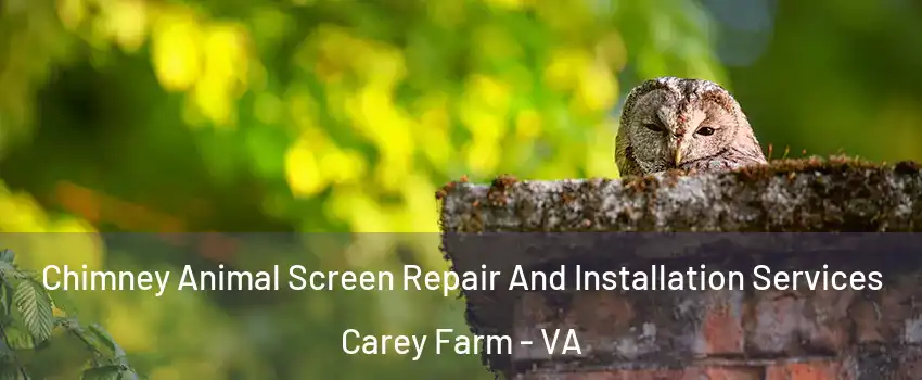 Chimney Animal Screen Repair And Installation Services Carey Farm - VA