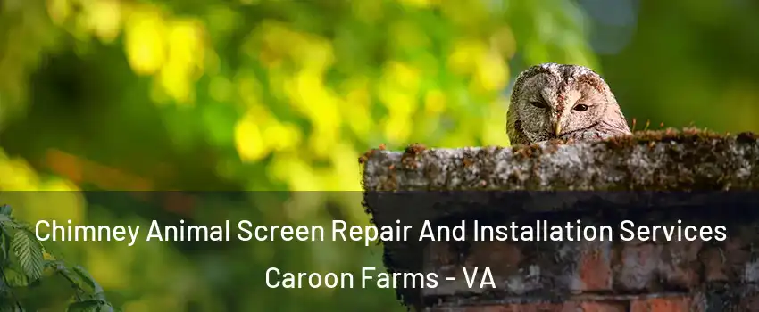 Chimney Animal Screen Repair And Installation Services Caroon Farms - VA