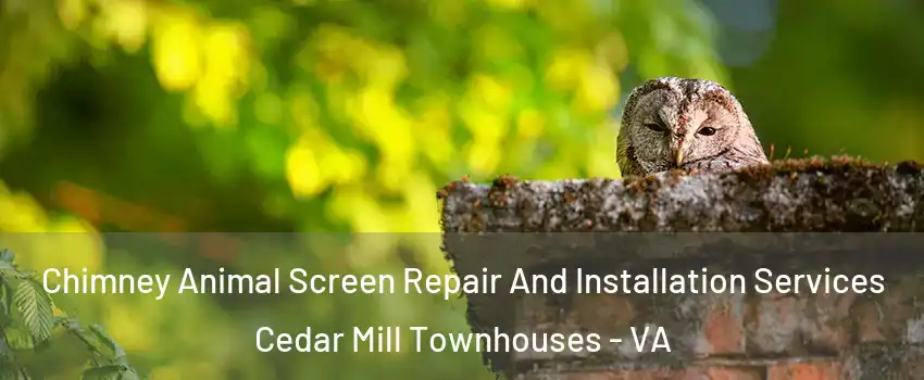 Chimney Animal Screen Repair And Installation Services Cedar Mill Townhouses - VA