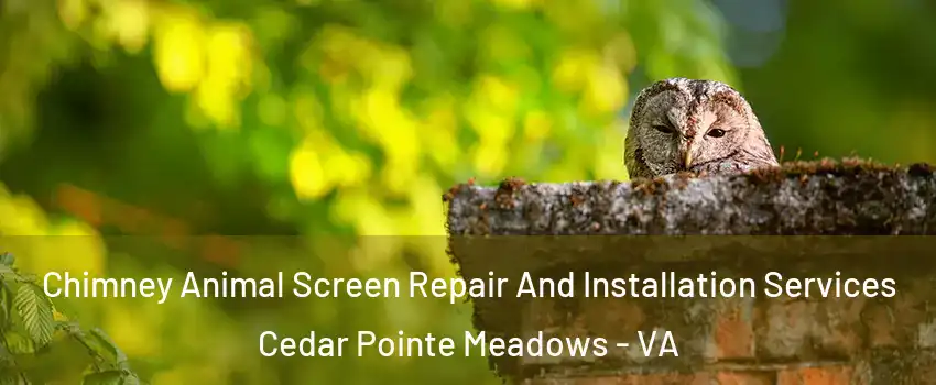 Chimney Animal Screen Repair And Installation Services Cedar Pointe Meadows - VA