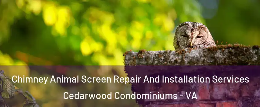 Chimney Animal Screen Repair And Installation Services Cedarwood Condominiums - VA