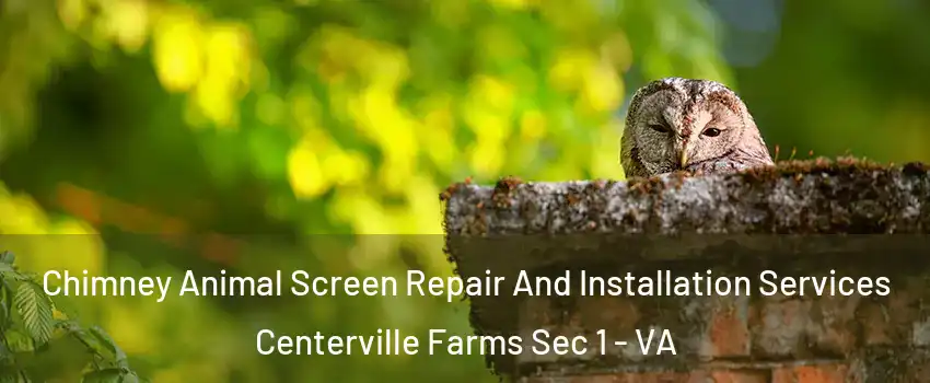 Chimney Animal Screen Repair And Installation Services Centerville Farms Sec 1 - VA