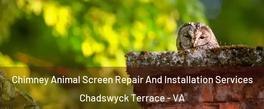 Chimney Animal Screen Repair And Installation Services Chadswyck Terrace - VA