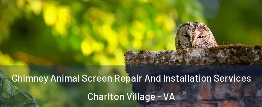 Chimney Animal Screen Repair And Installation Services Charlton Village - VA