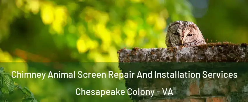 Chimney Animal Screen Repair And Installation Services Chesapeake Colony - VA