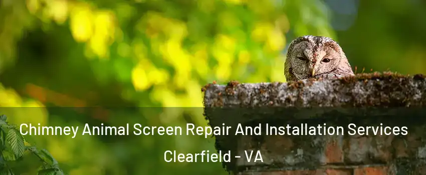 Chimney Animal Screen Repair And Installation Services Clearfield - VA