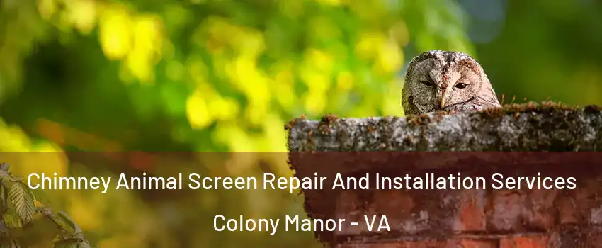 Chimney Animal Screen Repair And Installation Services Colony Manor - VA