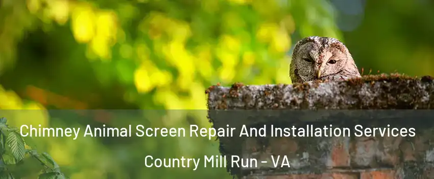 Chimney Animal Screen Repair And Installation Services Country Mill Run - VA