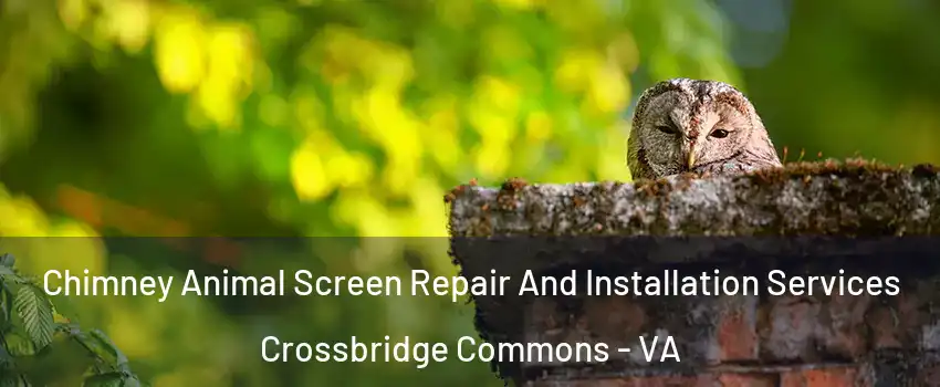 Chimney Animal Screen Repair And Installation Services Crossbridge Commons - VA