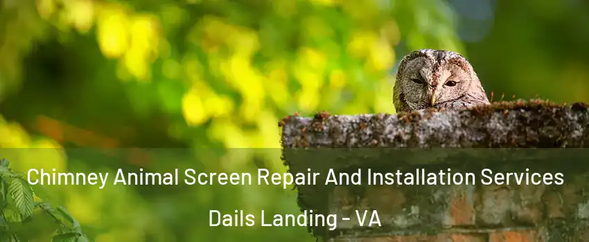 Chimney Animal Screen Repair And Installation Services Dails Landing - VA