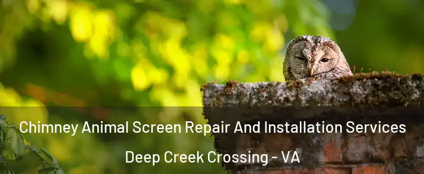 Chimney Animal Screen Repair And Installation Services Deep Creek Crossing - VA