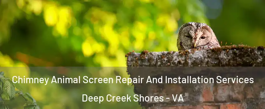 Chimney Animal Screen Repair And Installation Services Deep Creek Shores - VA