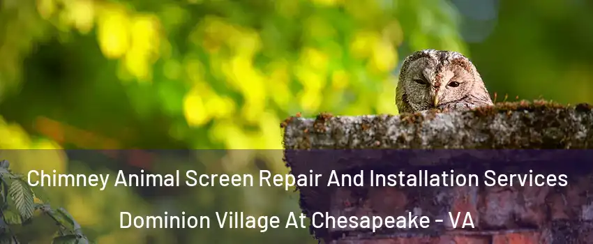 Chimney Animal Screen Repair And Installation Services Dominion Village At Chesapeake - VA