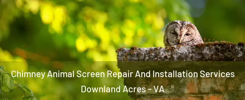 Chimney Animal Screen Repair And Installation Services Downland Acres - VA