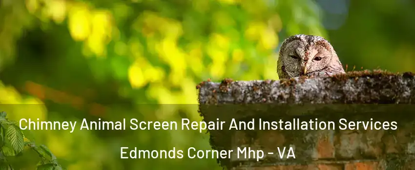 Chimney Animal Screen Repair And Installation Services Edmonds Corner Mhp - VA