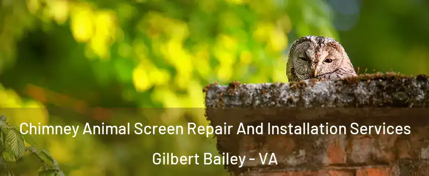 Chimney Animal Screen Repair And Installation Services Gilbert Bailey - VA