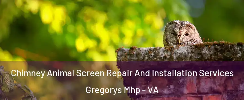 Chimney Animal Screen Repair And Installation Services Gregorys Mhp - VA