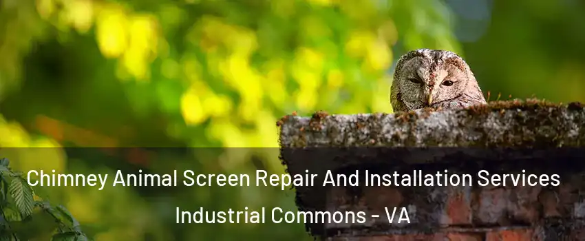 Chimney Animal Screen Repair And Installation Services Industrial Commons - VA