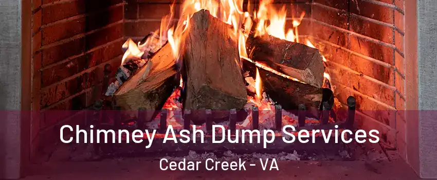 Chimney Ash Dump Services Cedar Creek - VA