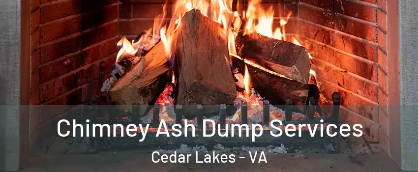 Chimney Ash Dump Services Cedar Lakes - VA