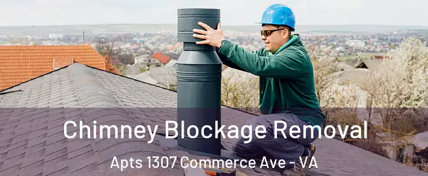 Chimney Blockage Removal Apts 1307 Commerce Ave - VA