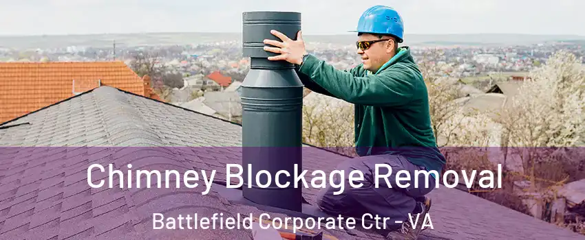 Chimney Blockage Removal Battlefield Corporate Ctr - VA