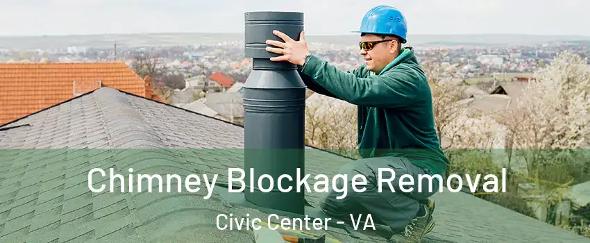 Chimney Blockage Removal Civic Center - VA