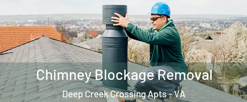 Chimney Blockage Removal Deep Creek Crossing Apts - VA