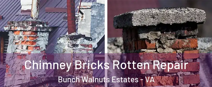 Chimney Bricks Rotten Repair Bunch Walnuts Estates - VA