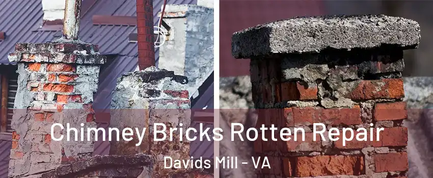 Chimney Bricks Rotten Repair Davids Mill - VA